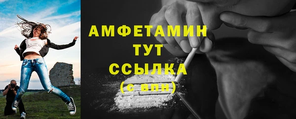 шишки Володарск