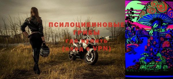 гашик Верея
