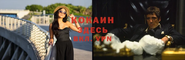 сатива Няндома