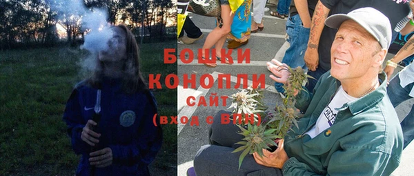 дурь Куртамыш