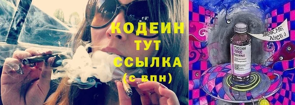 гашик Верея