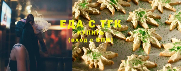 гашик Верея