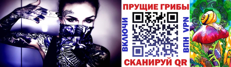 Псилоцибиновые грибы GOLDEN TEACHER  Курчалой 