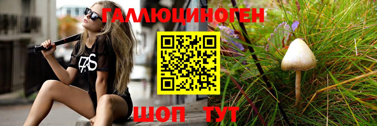 Псилоцибиновые грибы мухоморы Курчалой