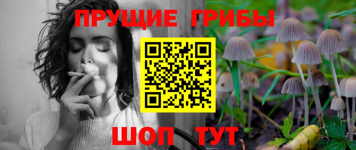 Псилоцибиновые грибы мицелий  Вход с VPN  Курчалой 